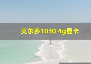 艾尔莎1030 4g显卡